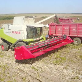 Capello BICCHI SUNRACCE 740