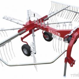 Hedgehogs Feraboli Golia