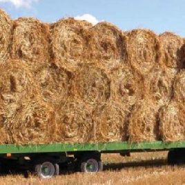 Trailers brand PRONAR