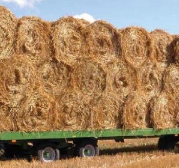 Trailers brand PRONAR