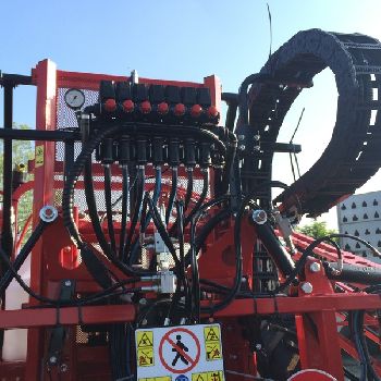 BOTTE DISERBO BARGAM FROM PADDY