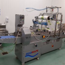 Automatic packing line, tray sealer