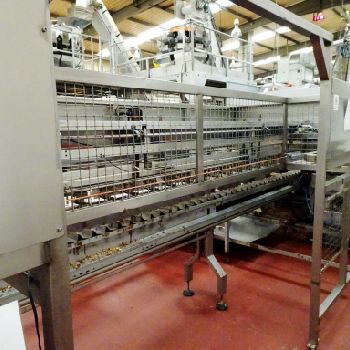 Silos Dam, Diosna, Maquinaria Vinas, Termopan, Tecnopack Complete biscuit or croissant production line