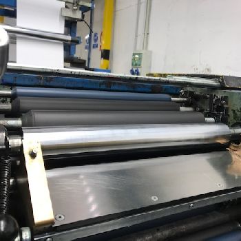 Imer I-90-BF Web continuous printing press