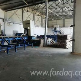 ARTIGLIO 1150 sawmilling plant scierie aserradero log band saw pilana