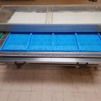 TRIMA square bread roll plant