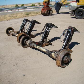 Diploris (Rain Dollis)