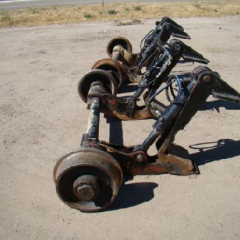 Diploris (Rain Dollis)