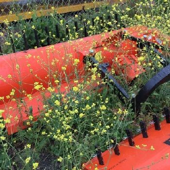 2017 Perfect BK2-210