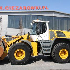 2009 LIEBHERR L566