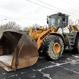 2010 LIEBHERR L 566 2PLUS2