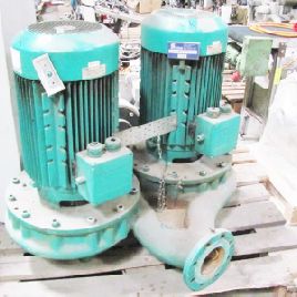 Water pump double DPN 100 / 300-11 / 4 G12 (art.7038)