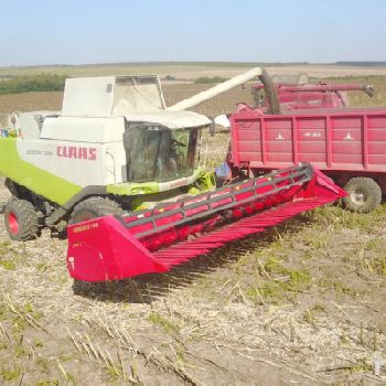 Capello BICCHI SUNRACCE 740