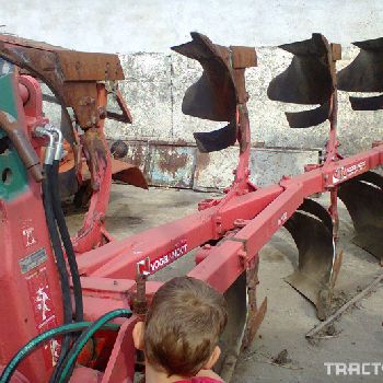 Pog Vogel & amp; Noot 3 + 1