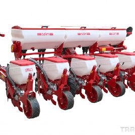 SEEDS FOR AZIM SPRING SEED