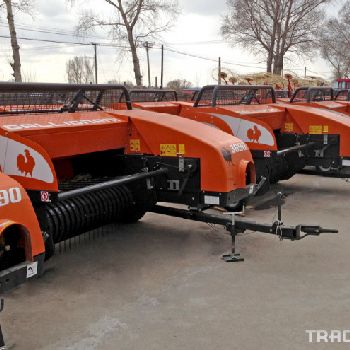 Strawberry Gallignani 3690