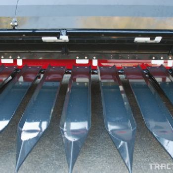 Sunless rows Capello, Helianthus model 9.4 m.