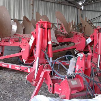 Pog Vogel & amp; Noot Hektor 1000