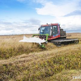 SaMASZ KDF 390 Fortschritt mower