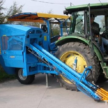 Carrots and turnips EUROPA CF300