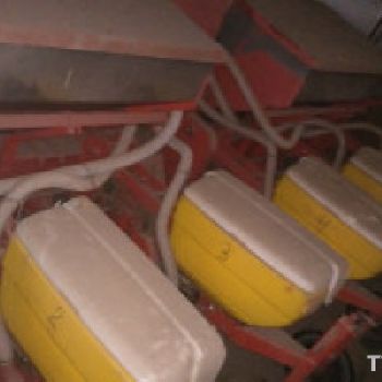 Mascar Spring-FUTURA