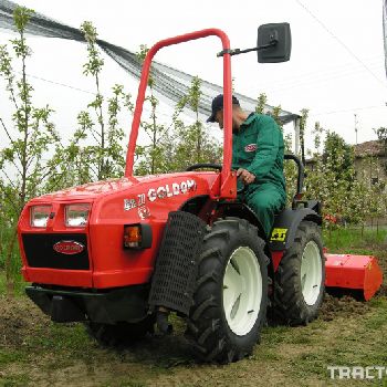 Goldoni Vineyard Tractor Base 20