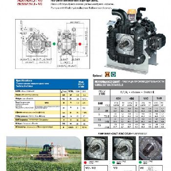 BERTOLINI, POLY 2180