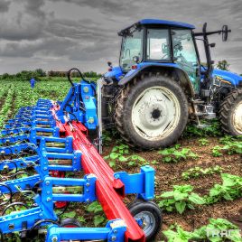 Hatzenbichler entre los rangos