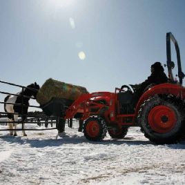 Tractor con cargador frontal - KIOTI CK35 - 35 CV