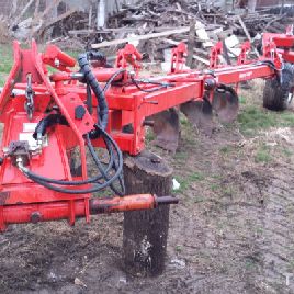 five corpus giant 1000