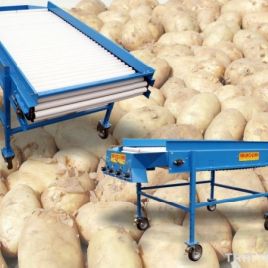 Sorting table Krukowiak