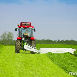 Kosachka SaMASZ SAMBA