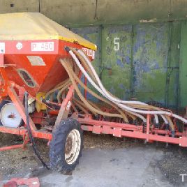 Гаспардо пшеница