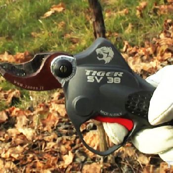 Vazero ZANON Tiger SV 38