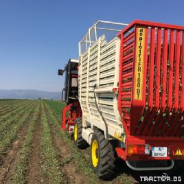 De Pietri harvester for lavender