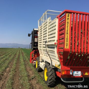 De Pietri harvester for lavender