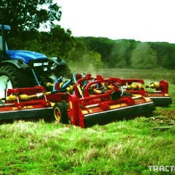 Mowers Seppi M OLS-Multipla