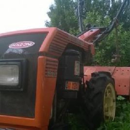 cultivator - another Goldoni 59jD