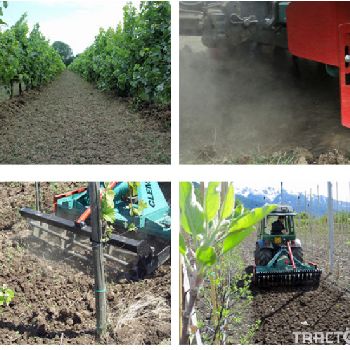 Clemens - Active Rotary Harrow for Vineyards