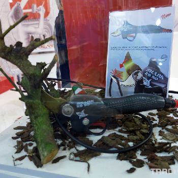 ZANON SHARK electric vineyard scissors