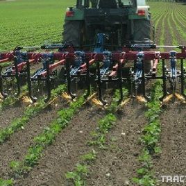 Hatzenbichler entre los rangos