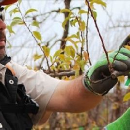 PELLENC PRUNION GARDEN BARS