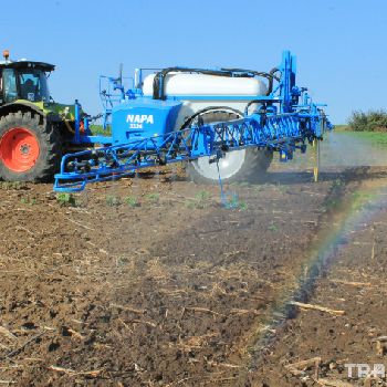 Agrio NAPA 3324 Available