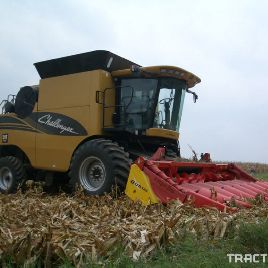 cueilleur de maïs 8 rangs pour Capello, modèle Quasar F8