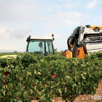 Pellenc Harvesters, 8000 series