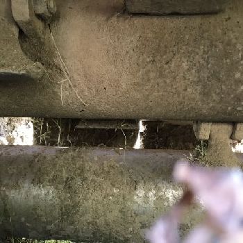 Kuhn BP 240 horizontal axis shredder - (N ° 1577594)