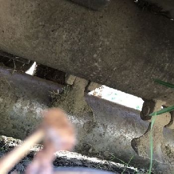 Kuhn BP 240 horizontal axis shredder - (N ° 1577594)