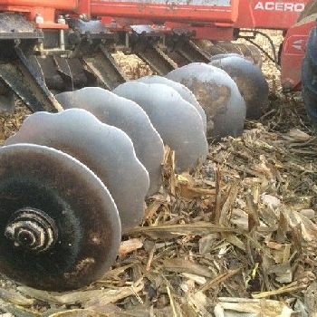 Grégoire-Besson crop-crop ACERO K - (N ° 1463026)