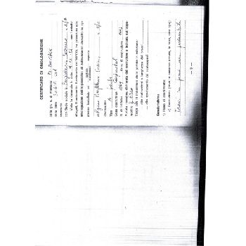 OMIS 10 WAY BICYCLE DOOR BITRAVE WITH 14430MM SCREEN