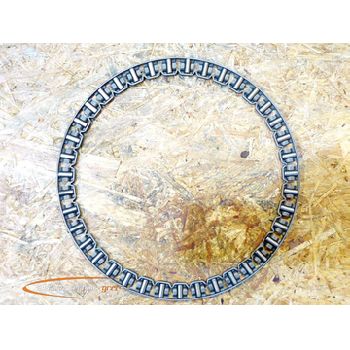 INA axial needle ring 200 x 170 x 5 mm - unused! -